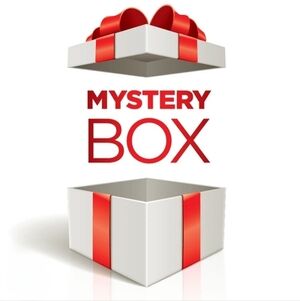 Mystery Box - Womens Clothing - Mystery Bundle Includes 10+ Pieces - Size Medium